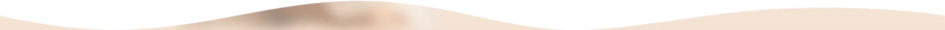 Divisor